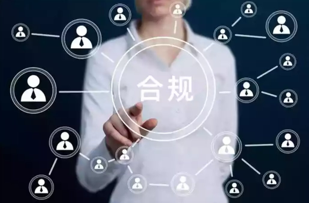 投资者在电脑前仔细阅读开户协议的画面